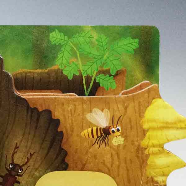 Discovering the Hidden Woodland World - Image 2